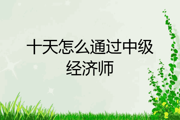 十天怎么通过中级经济师