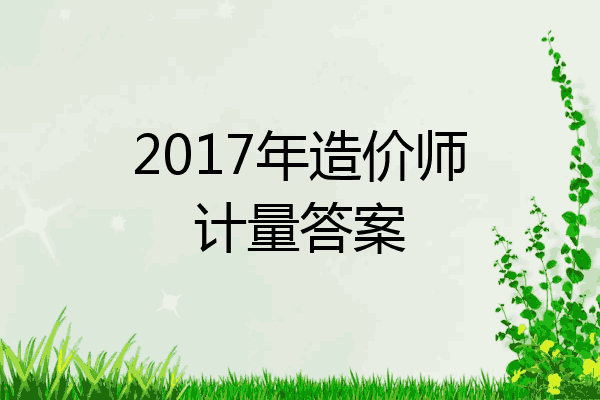 2017年造价师计量答案