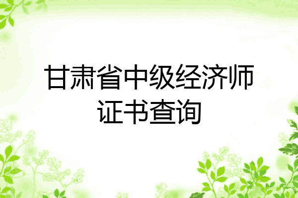 甘肃省中级经济师证书查询