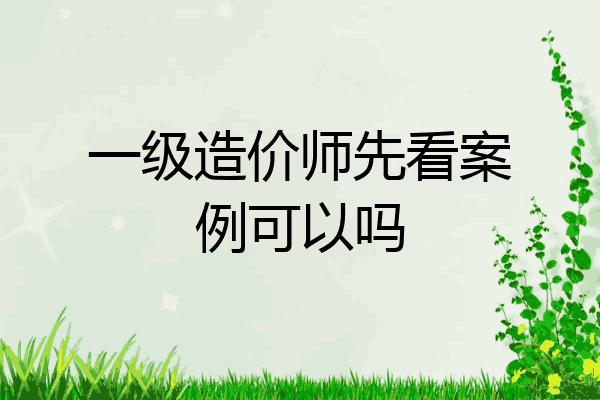 一级造价师先看案例可以吗