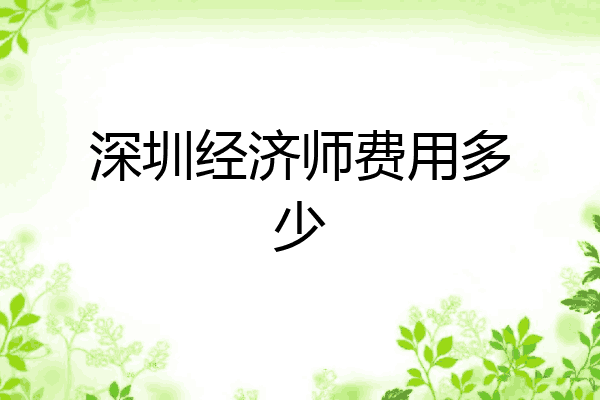 深圳经济师费用多少