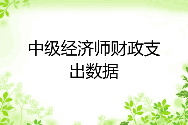 中级经济师财政支出数据