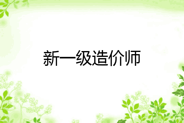新一级造价师