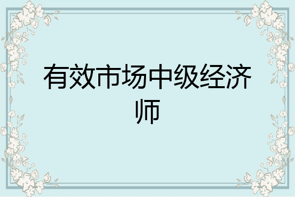 有效市场中级经济师