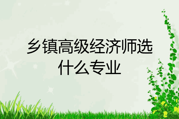 乡镇高级经济师选什么专业