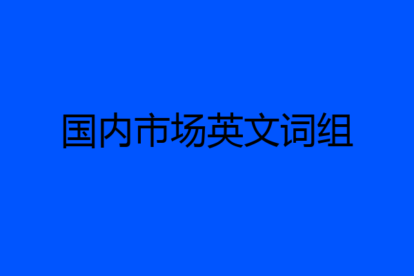 国内市场英文词组