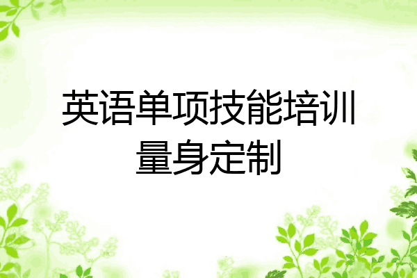 英语单项技能培训量身定制