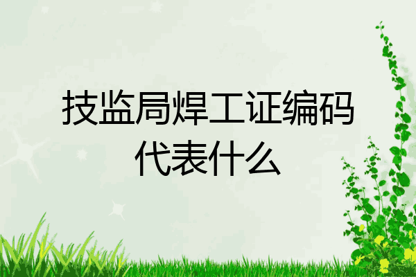 技监局焊工证编码代表什么