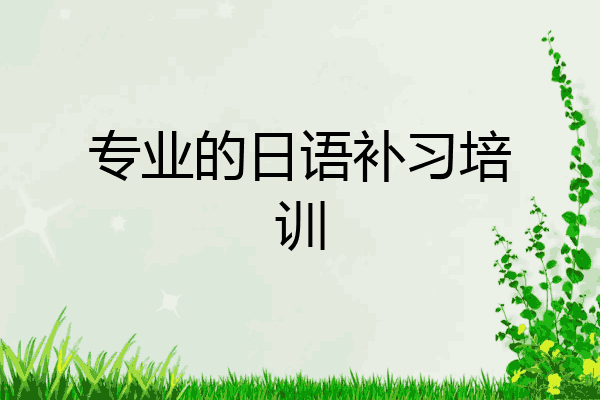 专业的日语补习培训