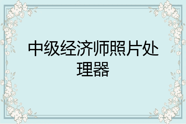 中级经济师照片处理器