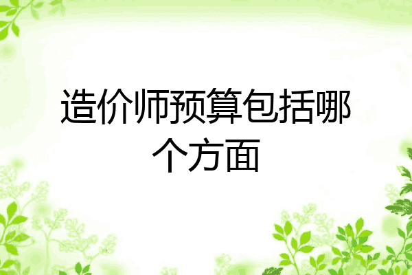 造价师预算包括哪个方面