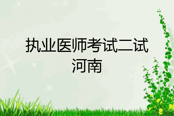 执业医师考试二试河南