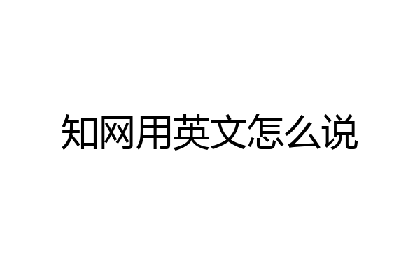知网用英文怎么说