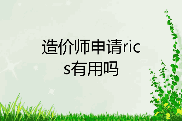 造价师申请rics有用吗
