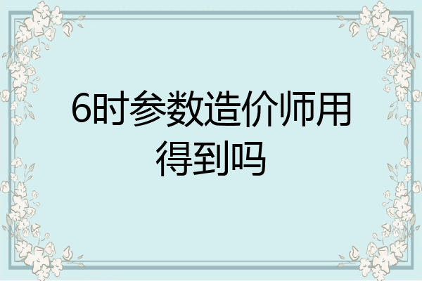 6时参数造价师用得到吗