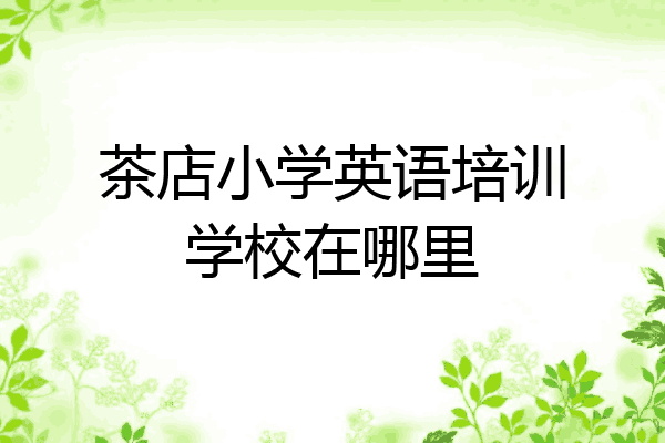 茶店小学英语培训学校在哪里