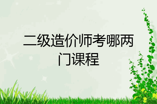 二级造价师考哪两门课程