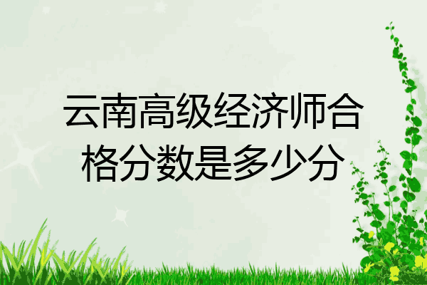云南高级经济师合格分数是多少分
