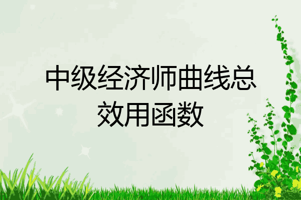 中级经济师曲线总效用函数