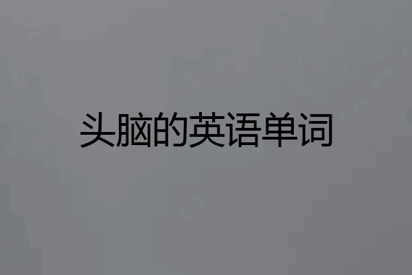 头脑的英语单词