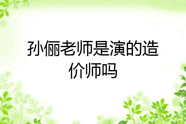 孙俪老师是演的造价师吗