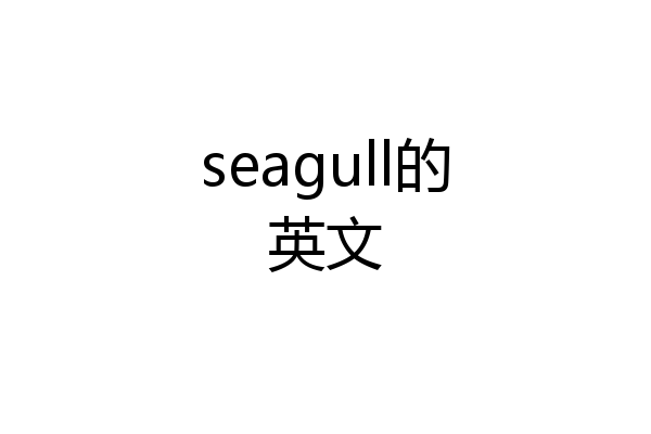 seagull的英文