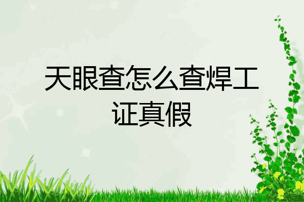 天眼查怎么查焊工证真假