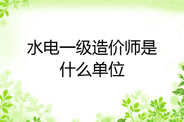 水电一级造价师是什么单位