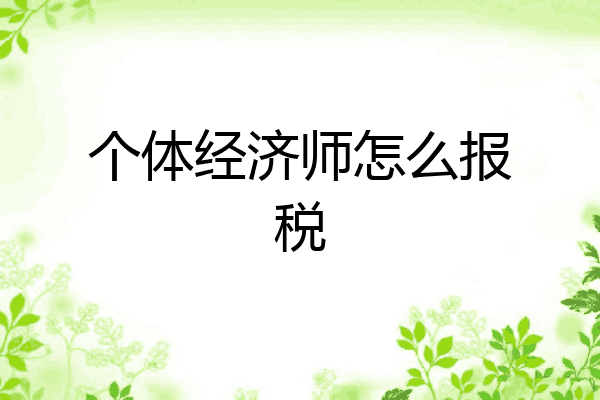 个体经济师怎么报税