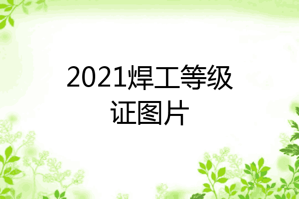 2021焊工等级证图片