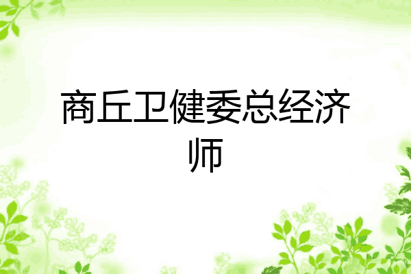 商丘卫健委总经济师