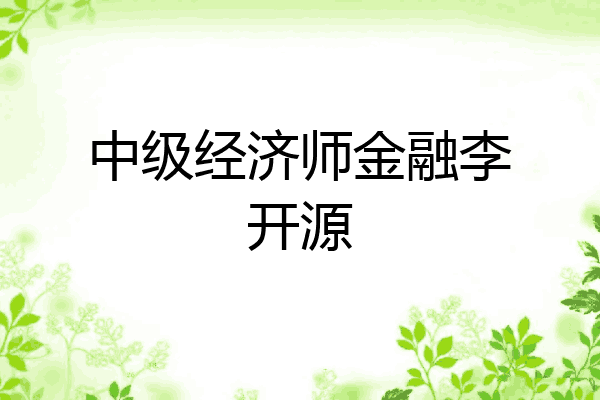中级经济师金融李开源