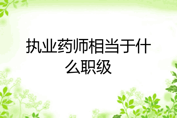 执业药师相当于什么职级