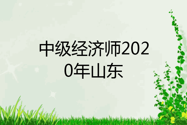 中级经济师2020年山东