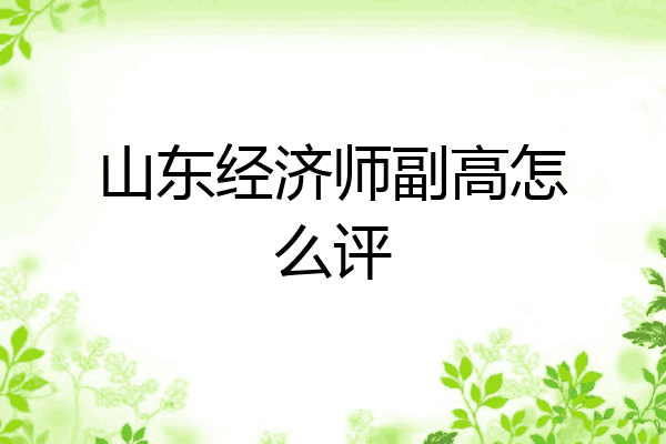 山东经济师副高怎么评