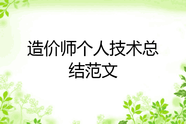 造价师个人技术总结范文