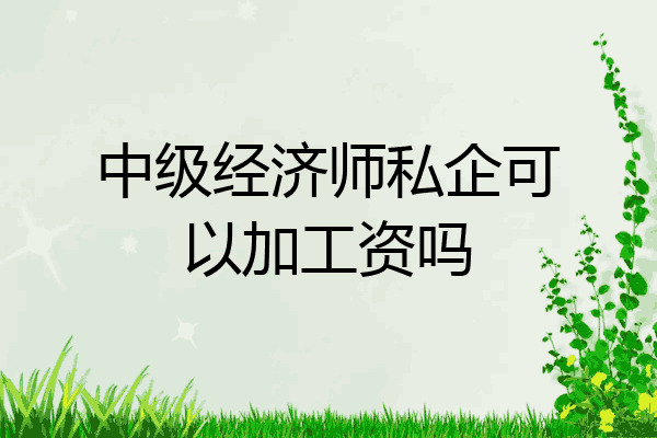 中级经济师私企可以加工资吗
