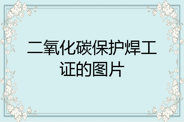 二氧化碳保护焊工证的图片