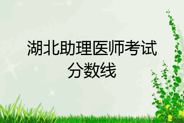 湖北助理医师考试分数线