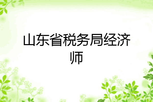 山东省税务局经济师