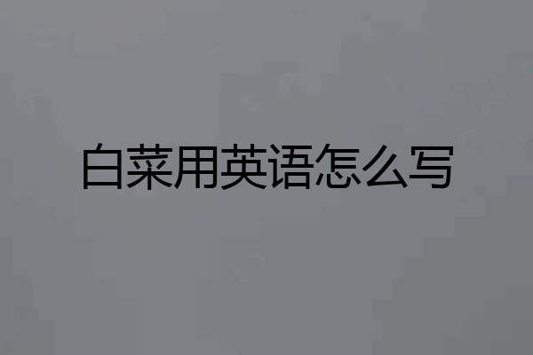 白菜用英语怎么写
