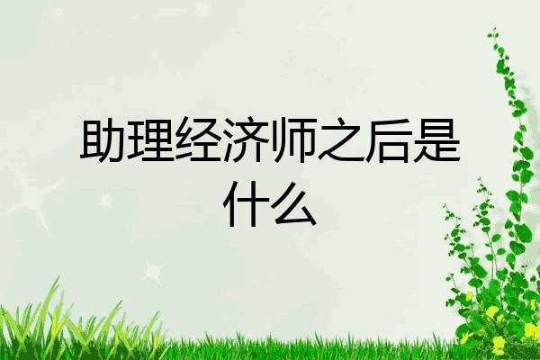 助理经济师之后是什么