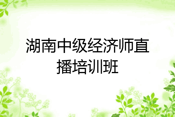 湖南中级经济师直播培训班