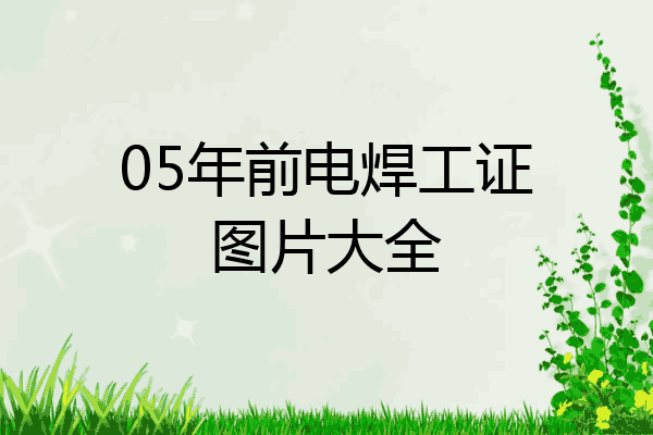 05年前电焊工证图片大全