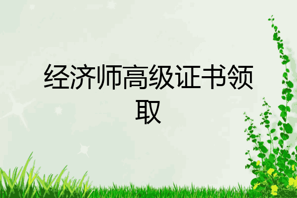 经济师高级证书领取