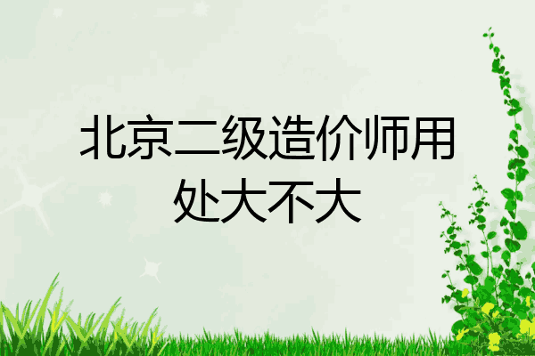 北京二级造价师用处大不大