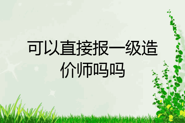 可以直接报一级造价师吗吗