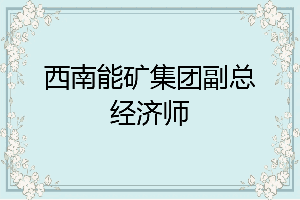 西南能矿集团副总经济师