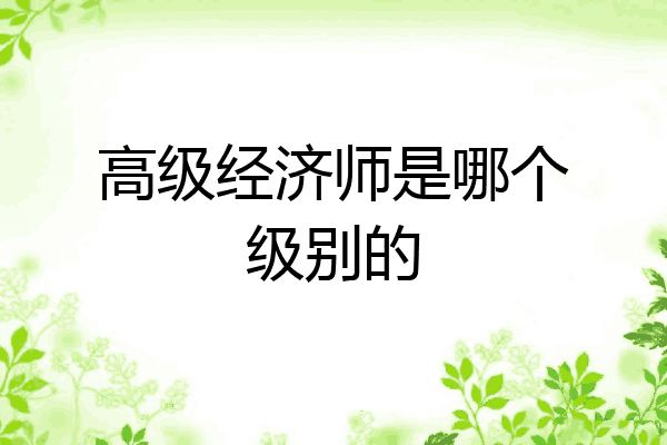 高级经济师是哪个级别的