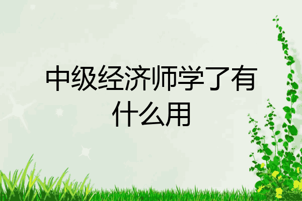 中级经济师学了有什么用
